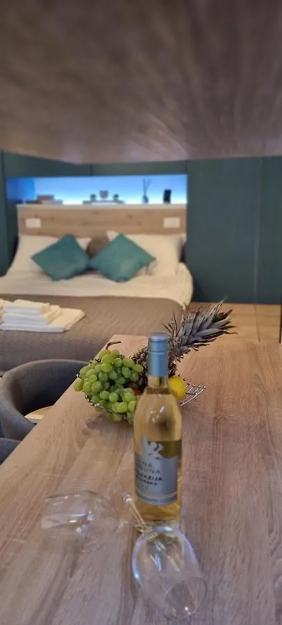 Studio Ayla Apartment Rovinj