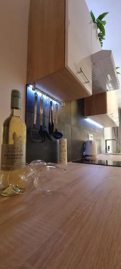 Studio Ayla Apartment Rovinj 0*,